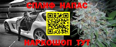 гашик Краснодар