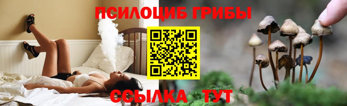 Псилоцибиновые грибы Magic Shrooms Керчь